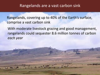 Livestock research contributions to the Sustainable Development Goals