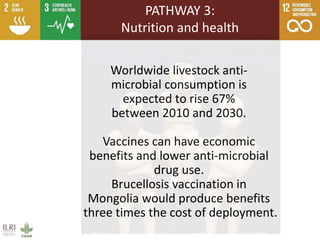 Livestock research contributions to the Sustainable Development Goals