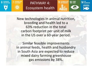 Livestock research contributions to the Sustainable Development Goals