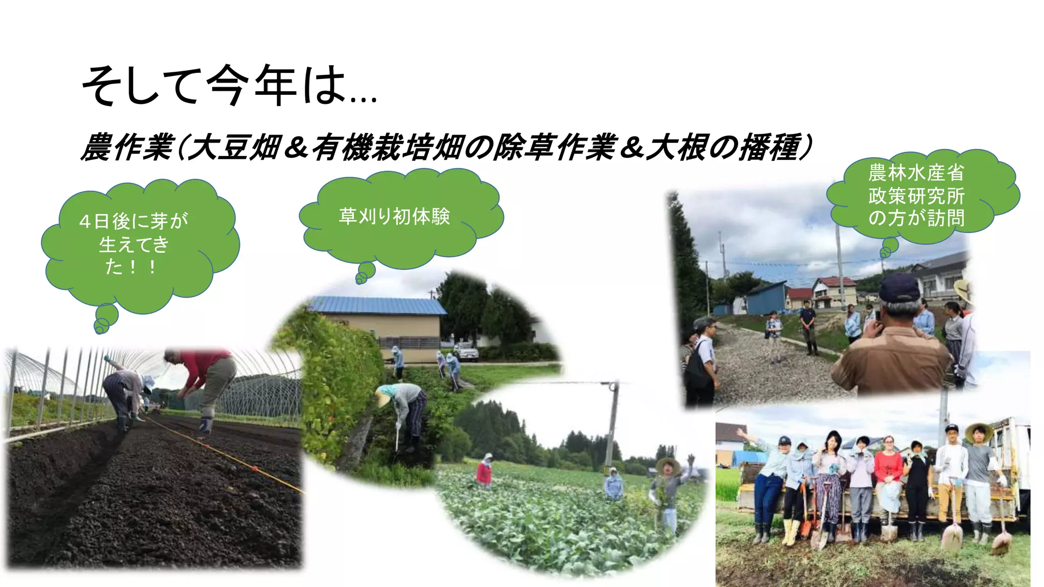 そして今年は…
農作業(大豆畑&有機栽培畑の除草作業&大根の播種)
4日後に芽が
生えてき
た!!
草刈り初体験
農林水産省
政策研究所
の方が訪問