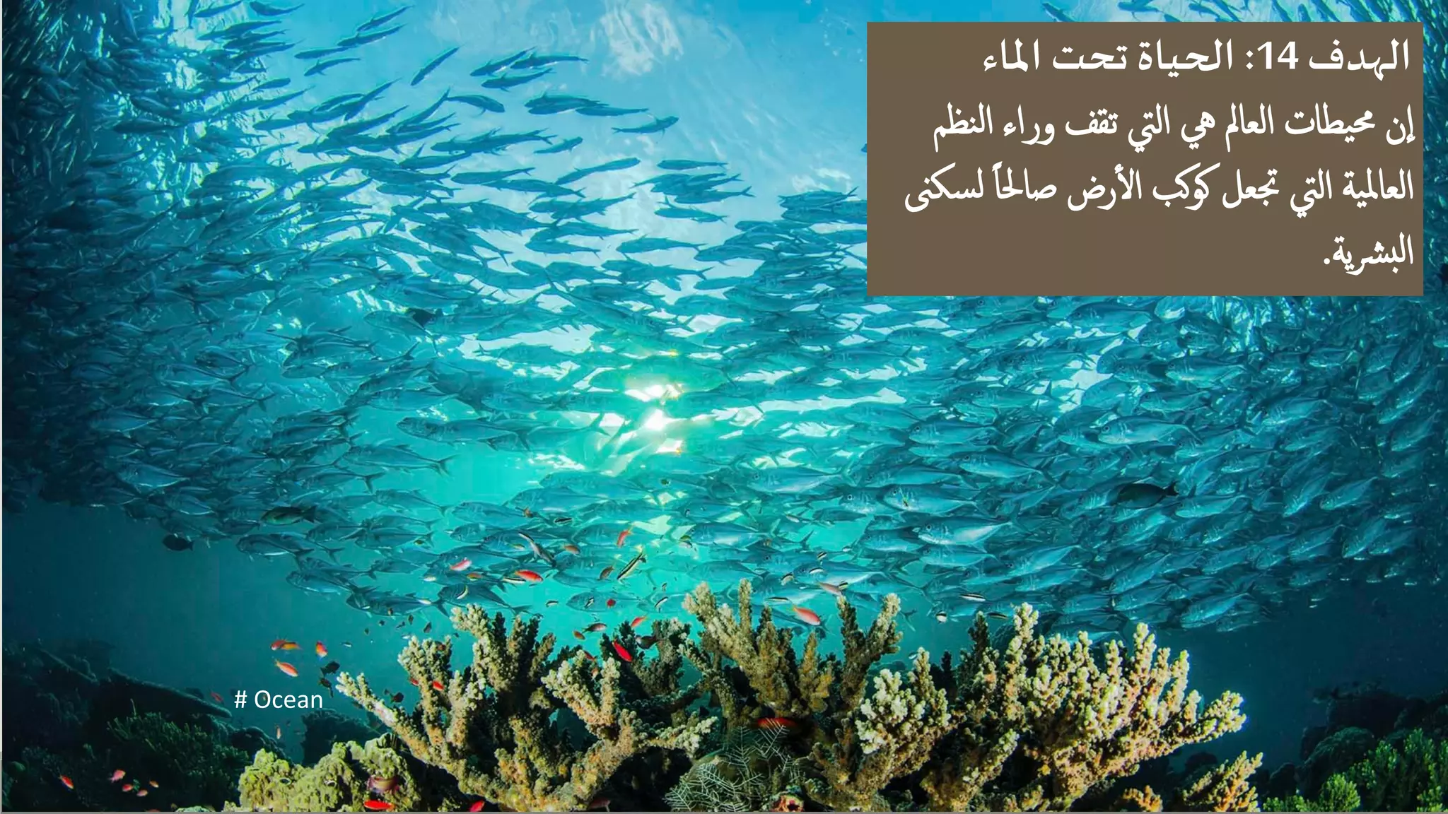 أهداف التنمية المستدامة . Goals to Transform Our World | PDF