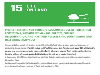 PROTECT, RESTORE AND PROMOTE SUSTAINABLE USE OF TERRESTRIAL
ECOSYSTEMS, SUSTAINABLY MANAGE FORESTS, COMBAT
DESERTIFICATION, AND HALT AND REVERSE LAND DEGRADATION AND
HALT BIODIVERSITY LOSS
Humans and other animals rely on other forms of life on land for food, clean air, clean water, and as a means of
combatting climate change. Plant life makes up 80% of the human diet. Forests, which cover 30% of the Earth’s
surface, help keep the air and water clean and the Earth’s climate in balance. That’s not to mention they’re
home to millions of animal species. But the land and life on it are in trouble. Arable land
is disappearing 30 to 35 times faster than it has historically. Deserts are spreading. Animal breeds are going extinct.
We can turn these
trends around. Fortunately, the Sustainable Development Goals aim to conserve and restore the use of terrestrial
ecosystems such as forests, wetlands, drylands and mountains by 2030.
 