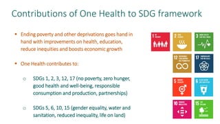 Sustainable Development Goals and One Health
