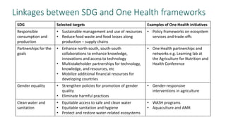 Sustainable Development Goals and One Health