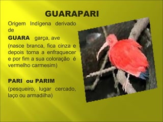 GUARAPARI 
Origem Indígena derivado 
de 
GUARA garça, ave 
(nasce branca, fica cinza e 
depois torna a enfraquecer 
e por fim a sua coloração é 
vermelho carmesim) 
PARI ou PARIM 
(pesqueiro, lugar cercado, 
laço ou armadilha) 
 
