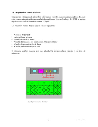 E:FacultadTrabajo SDH.doc
14
3.6.1-Regenerator section overhead
Esta sección está destinada a transferir información entre los elementos regeneradores. Es decir
estos regeneradores tendrán acceso a la información que viene en los bytes del ROH, la sección
regeneradora contiene una estructura de 12 bytes.
Las funciones básicas de esta sección son las siguientes:
• Chequeo de paridad
• Alineación de la trama
• Identificación de la STM-1
• Canales destinados a los usuarios (sin fines específicos)
• Canales de comunicación de datos
• Canales de comunicación de voz
El siguiente gráfico muestra con más claridad la correspondiente sección y su área de
injerencia.
Fig.6:Regeneretor Section Over Head
 