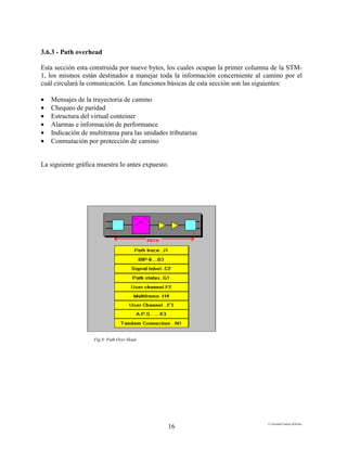 E:FacultadTrabajo SDH.doc
16
3.6.3 - Path overhead
Esta sección esta construida por nueve bytes, los cuales ocupan la primer columna de la STM-
1, los mismos están destinados a manejar toda la información concerniente al camino por el
cuál circulará la comunicación. Las funciones básicas de esta sección son las siguientes:
• Mensajes de la trayectoria de camino
• Chequeo de paridad
• Estructura del virtual conteiner
• Alarmas e información de performance
• Indicación de multitrama para las unidades tributarias
• Conmutación por protección de camino
La siguiente gráfica muestra lo antes expuesto.
Fig.8: Path Over Head
 