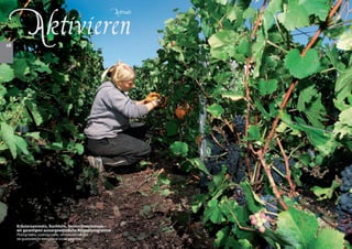 Aktivieren
                                                         Activate




16




     Kräutersammeln, Kochkurs, Sensorikworkshops –
     wir garantieren aussergewöhnliche Rahmenprogramme
     Picking herbs, cookingcourse, sensory workshops –
     we guarantee for exceptional social programs
 