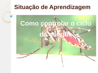 Situação de Aprendizagem
Como controlar o ciclo
da dengue
 