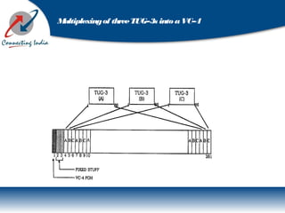 Multiplexingof threeTUG–3s intoaVC–4
 