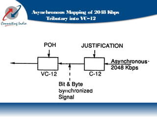 Asynchronous Mapping of 2048 Kbps
Tributary into VC–12
 