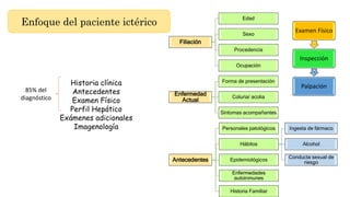Enfoque del paciente ictérico
Filiación
Edad
Sexo
Procedencia
Ocupación
Enfermedad
Actual
Forma de presentación
Coluria/ acolia
Síntomas acompañantes
Antecedentes
Personales patológicos
Hábitos
Ingesta de fármaco
Alcohol
Conducta sexual de
riesgo
Epidemiológicos
Enfermedades
autoinmunes
Historia Familiar
Examen Físico
Inspección
Palpación
Historia clínica
Antecedentes
Examen Físico
Perfil Hepático
Exámenes adicionales
Imagenología
85% del
diagnóstico
 