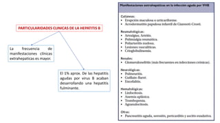 El 1% aprox. De las hepatitis
agudas por virus B acaban
desarrollando una hepatitis
fulminante.
La frecuencia de
manifestaciones clínicas
extrahepaticas es mayor.
PARTICULARIDADES CLINICAS DE LA HEPATITIS B
 