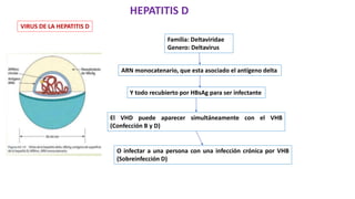 VIRUS DE LA HEPATITIS D
HEPATITIS D
Familia: Deltaviridae
Genero: Deltavirus
ARN monocatenario, que esta asociado el antígeno delta
Y todo recubierto por HBsAg para ser infectante
El VHD puede aparecer simultáneamente con el VHB
(Confección B y D)
O infectar a una persona con una infección crónica por VHB
(Sobreinfección D)
 