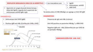 RESPUESTA SEROLOGICA VIRUS DE LA HEPATITIS D Los marcadores son: • AgHD
• Anticuerpos: antiHD
• ARN VHD
• Aparición en sangre durante breve tiempo
(días) del AgHD, seguido de la aparición de
anticuerpos antiHD IgM e IgG.
• Anticuerpos Anti VHD (IgM)
• Positivo IgM anti HBc (Coinfección VHB y VHD)
DIAGNÓSTICO:
AGUDO
Ya existía antes el VHB (HBsAg) y se agrega un Anti HD IgM
DIAGNOSTICO:
Presencia de IgG anti-HBc (crónico)
Anti-HD positivo en pacientes HBsAg./ y ARN-VHD
Negativo IgM anti - HBc (Sobreinfección por VHD de
un portador HBsAg)
SOBREINFECCIÓN POR VHB- HVD
 