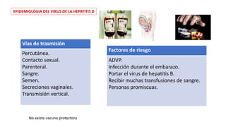EPIDEMIOLOGIA DEL VIRUS DE LA HEPATITIS D
Vías de trasmisión
Percutánea.
Contacto sexual.
Parenteral.
Sangre.
Semen.
Secreciones vaginales.
Transmisión vertical.
Factores de riesgo
ADVP.
Infección durante el embarazo.
Portar el virus de hepatitis B.
Recibir muchas transfusiones de sangre.
Personas promiscuas.
No existe vacuna protectora
 