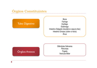 Órgãos Constituintes

                                         Boca
                                        Faringe
   Tubo Digestivo                       Esófago
                                       Estômago
                       Intestino Delgado (duodeno e jejuno-íleo)
                            Intestino Grosso (cólon e recto)
                                         Ânus




                                 Glândulas Salivares
                                      Pâncreas
   Órgãos Anexos                       Fígado
                                    Vesícula Biliar
 