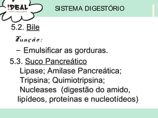 SISTEMA DIGESTÓRIO
5.2. Bile
Função :
– Emulsificar as gorduras.
5.3. Suco Pancreático
Lipase; Amilase Pancreática;
Tripsina; Quimiotripsina;
Nucleases (digestão do amido,
lipídeos, proteínas e nucleotídeos)
 
