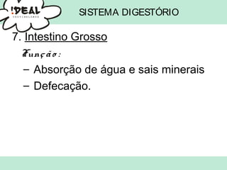 SISTEMA DIGESTÓRIO
7. Intestino Grosso
Função :
– Absorção de água e sais minerais
– Defecação.
 