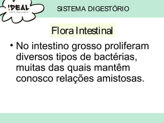 SISTEMA DIGESTÓRIO
• No intestino grosso proliferam
diversos tipos de bactérias,
muitas das quais mantêm
conosco relações amistosas.
FloraIntestinal
 