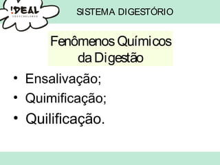 SISTEMA DIGESTÓRIO
• Ensalivação;
• Quimificação;
• Quilificação.
FenômenosQuímicos
daDigestão
 