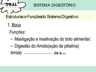 SISTEMA DIGESTÓRIO
1. Boca
Funções:
– Mastigação e insalivação do bolo alimentar;
– Digestão do Amido(ação da pitialina)
Amido ----------------------- Malto se
EstruturaseFunçõesdo SistemaDigestivo
 