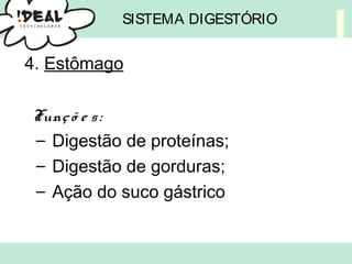 SISTEMA DIGESTÓRIO
4. Estômago
Funçõ e s:
– Digestão de proteínas;
– Digestão de gorduras;
– Ação do suco gástrico
 