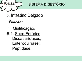 SISTEMA DIGESTÓRIO
5. Intestino Delgado
Função :
– Quilificação.
5.1. Suco Entérico
Dissacarídases;
Enteroquinase;
Peptidase
 