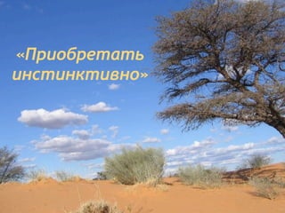 «Приобретать
инстинктивно»
 