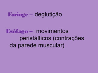 Faringe – deglutição
Esôfago – movimentos
peristálticos (contrações
da parede muscular)
 