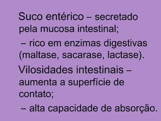 Suco entérico – secretado
pela mucosa intestinal;
– rico em enzimas digestivas
(maltase, sacarase, lactase).
Vilosidades intestinais –
aumenta a superfície de
contato;
– alta capacidade de absorção.
 