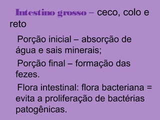 Intestino grosso – ceco, colo e
reto
Porção inicial – absorção de
água e sais minerais;
Porção final – formação das
fezes.
Flora intestinal: flora bacteriana =
evita a proliferação de bactérias
patogênicas.
 