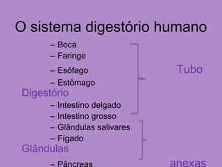 O sistema digestório humano
– Boca
– Faringe
– Esôfago Tubo
– Estômago
Digestório
– Intestino delgado
– Intestino grosso
– Glândulas salivares
– Fígado
Glândulas
 