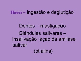 Boca – ingestão e deglutição
Dentes – mastigação
Glândulas salivares –
insalivação açao da amilase
salivar
(ptialina)
 