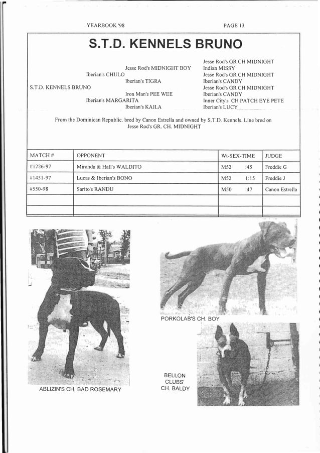 Sporting Dog Journal Yearbook 1998