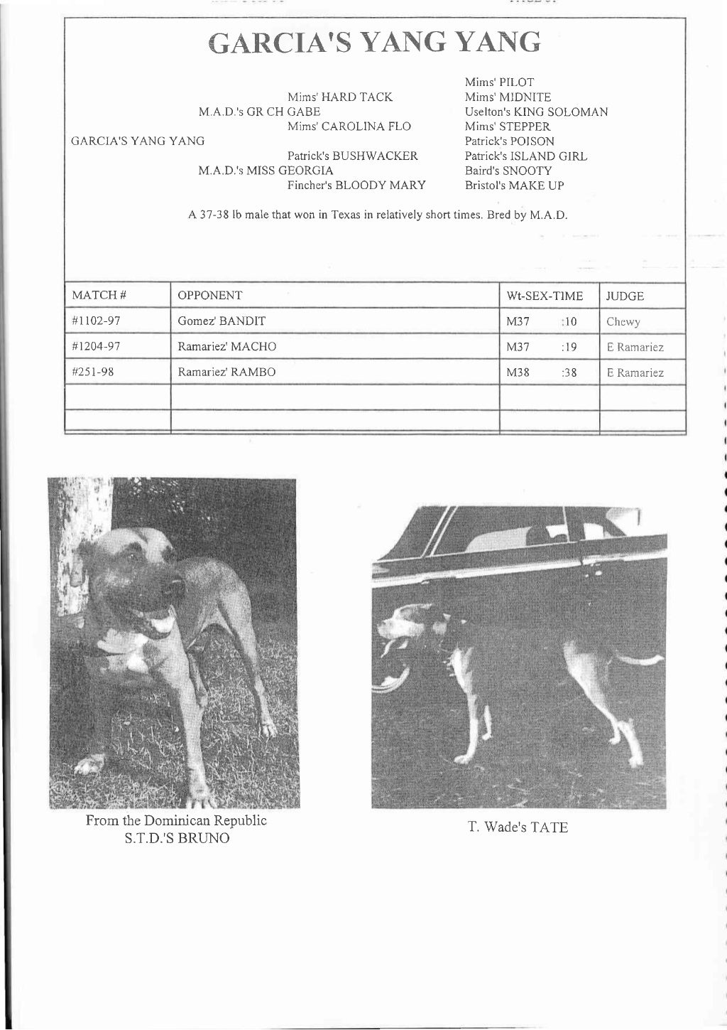 Sporting Dog Journal Yearbook 1998