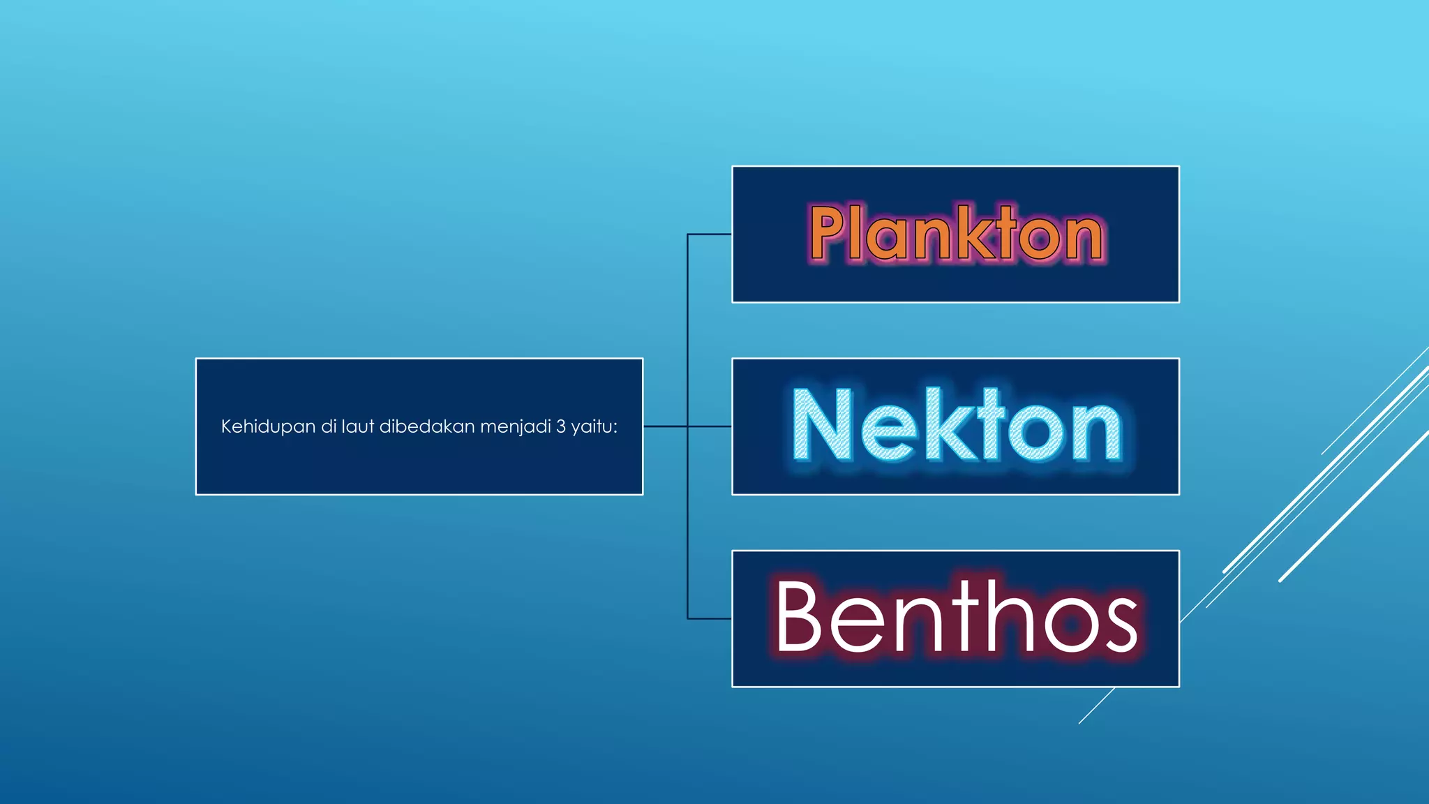Kehidupan di laut dibedakan menjadi 3 yaitu:
Benthos
 