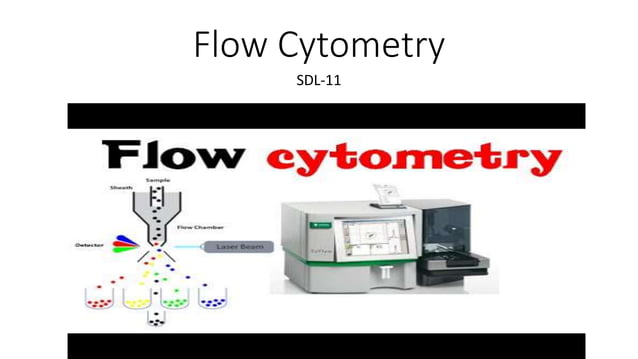 Flow Cytometry Principles and Applications | PPT