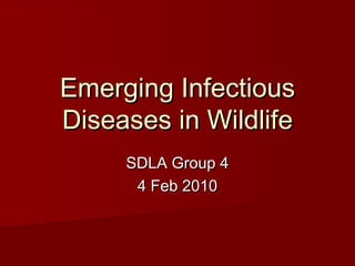 Emerging Infectious
Diseases in Wildlife
     SDLA Group 4
      4 Feb 2010
 