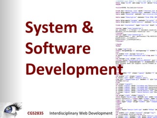 System & Software Development 