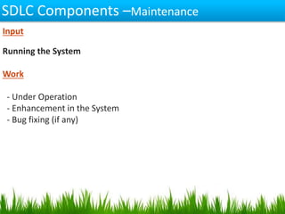 SDLC Components –Maintenance
Input
Running the System
Work
- Under Operation
- Enhancement in the System
- Bug fixing (if any)
 