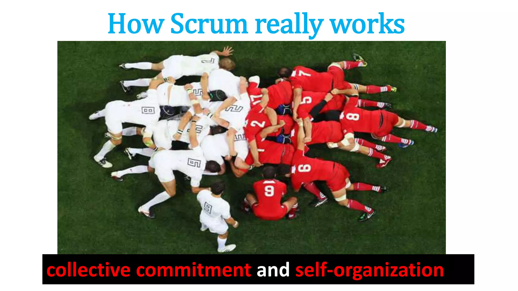 How Scrum really works
collective commitment and self-organization
 