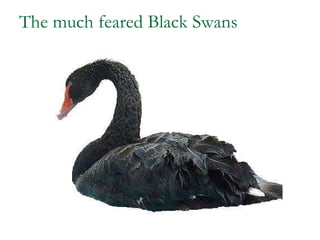 The much feared Black Swans 