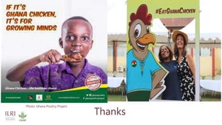 A System Thinking Approach to Understand the Drivers of Change in Ghana’s Backyard Poultry Farming System