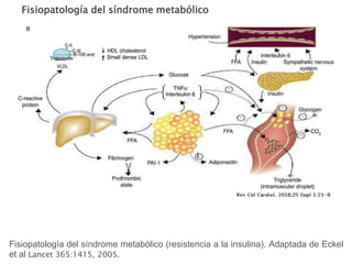Fisiopatología del síndrome metabólico
Fisiopatología del síndrome metabólico (resistencia a la insulina). Adaptada de Eckel
et al Lancet 365:1415, 2005.
 