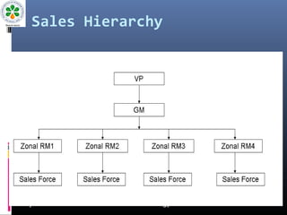Sales Ladder Explained Sdm ppt | PPT