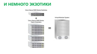 И НЕМНОГО ЭКЗОТИКИ
 