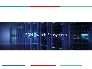 SDN Switch Ecosystem
 