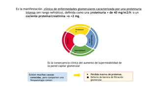 SD NEFROTICO NEFROlogia pediatrica 25.pptx