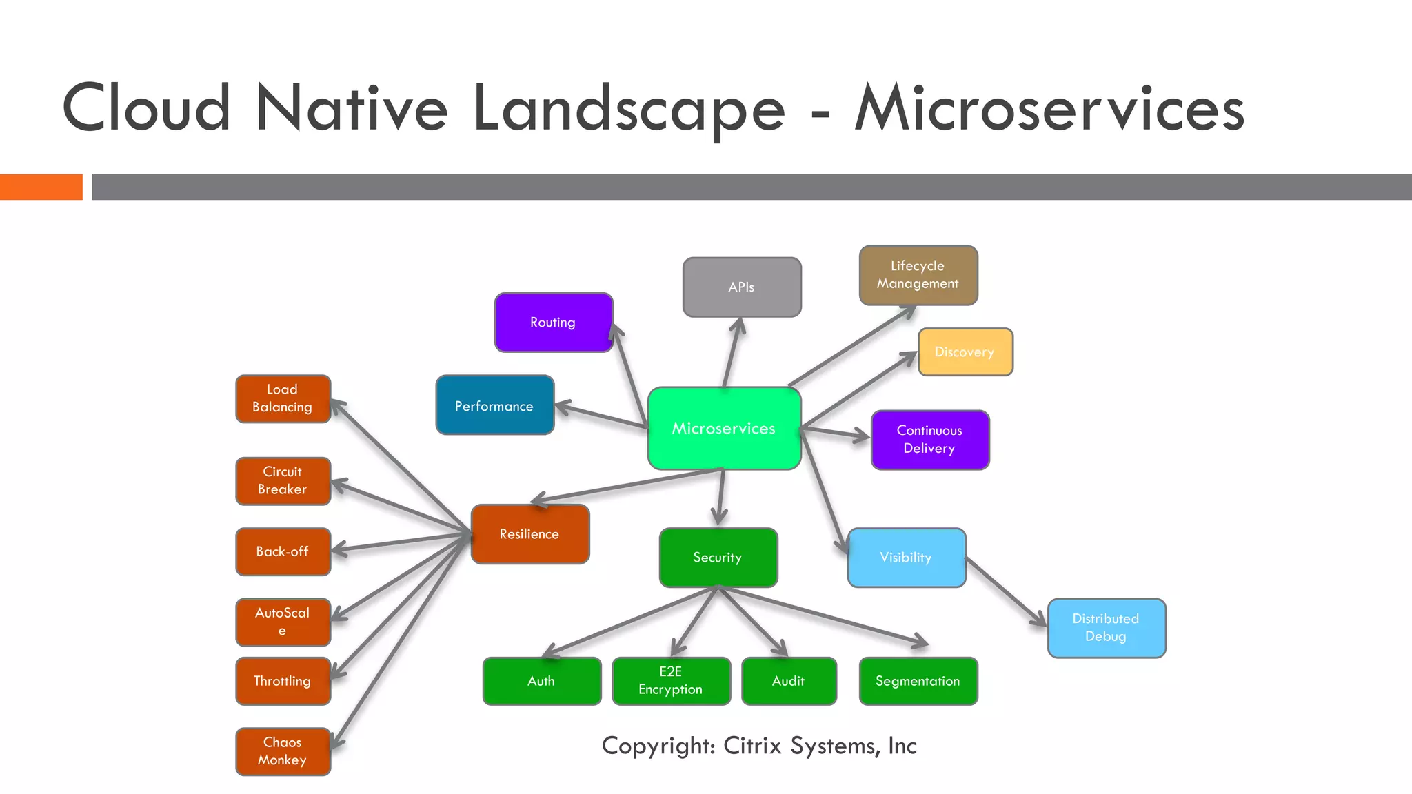 Cloud Native Landscape - Microservices
Microservices
APIs
Performance
Resilience
Security Visibility
Continuous
Delivery
AutoScal
e
Circuit
Breaker
Load
Balancing
Throttling
Discovery
Audit Segmentation
E2E
Encryption
Routing
Chaos
Monkey
Distributed
Debug
Back-off
Lifecycle
Management
Auth
Copyright: Citrix Systems, Inc
 